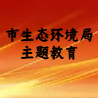 市生态环境局主题教育